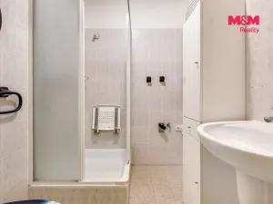 Prodej bytu 1+kk, Beroun - Beroun-Město, U Židovského hřbitova, 41 m2