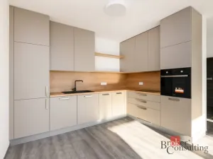 Pronájem bytu 2+kk, Plzeň - Východní Předměstí, Sladová, 54 m2