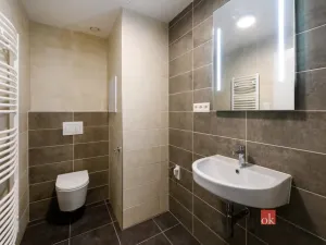 Pronájem bytu 2+kk, Plzeň - Východní Předměstí, Sladová, 54 m2