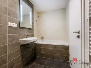 Pronájem bytu 2+kk, Plzeň - Východní Předměstí, Sladová, 54 m2