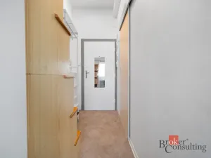 Prodej bytu 1+kk, Brno - Staré Brno, Náplavka, 18 m2