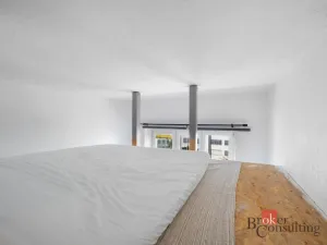 Prodej bytu 1+kk, Brno - Staré Brno, Náplavka, 18 m2