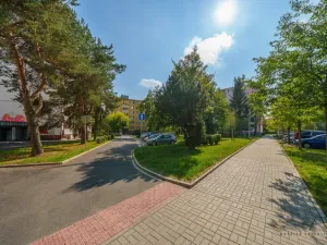 Prodej bytu 2+1, Cheb, Matěje Kopeckého, 60 m2