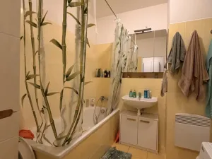 Prodej bytu 2+kk, Chýně, Ecksteinova, 52 m2