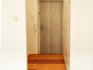 Pronájem bytu 1+1, Plzeň - Jižní Předměstí, Raisova, 30 m2