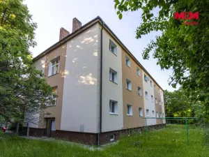 Pronájem bytu 1+1, Plzeň - Jižní Předměstí, Raisova, 30 m2