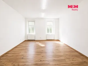 Pronájem komerční nemovitosti, Štětí, 20 m2