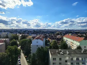 Pronájem bytu 1+kk, Brno, Kneslova, 21 m2