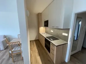 Pronájem bytu 1+kk, Jihlava, Okružní, 28 m2