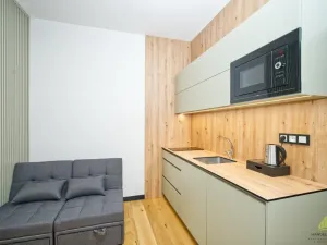 Prodej bytu 1+kk, Branná, 22 m2