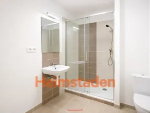 Pronájem bytu 1+1, Ostrava - Hrabůvka, Cholevova, 39 m2