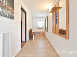 Pronájem bytu 3+1, Brno, Stromovka, 180 m2
