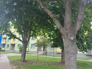 Prodej bytu 2+1, Postoloprty, Třebízského náměstí, 62 m2