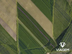 Prodej podílu pole, Velká nad Veličkou, 3258 m2
