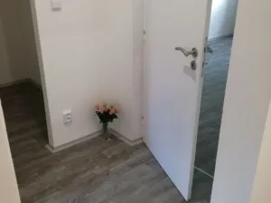 Pronájem bytu 2+1, Ostrava - Hrabůvka, Plzeňská, 55 m2