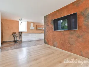 Pronájem bytu 5+kk, Havířov, Rodinná, 140 m2