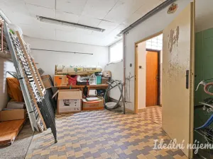 Pronájem bytu 5+kk, Havířov, Rodinná, 140 m2