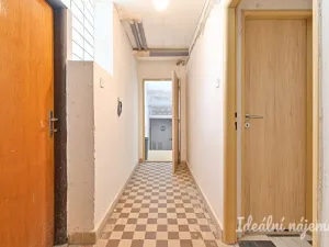 Pronájem bytu 5+kk, Havířov, Rodinná, 140 m2