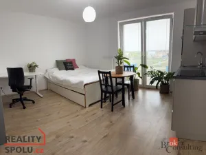 Pronájem bytu 1+kk, Plzeň - Újezd, Diamantová, 30 m2