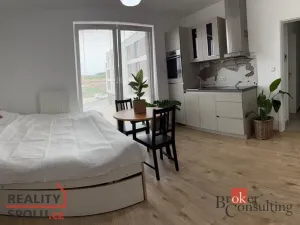 Pronájem bytu 1+kk, Plzeň - Újezd, Diamantová, 30 m2