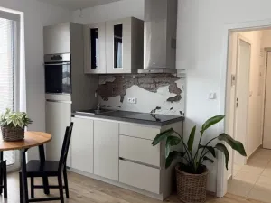 Pronájem bytu 1+kk, Plzeň - Újezd, Diamantová, 30 m2