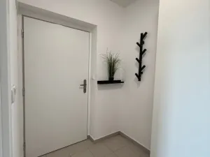 Pronájem bytu 1+kk, Plzeň - Újezd, Diamantová, 30 m2
