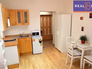 Pronájem bytu 1+kk, Praha, Pod Krocínkou, 23 m2