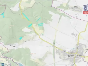 Prodej lesa, Jevíčko, 70821 m2
