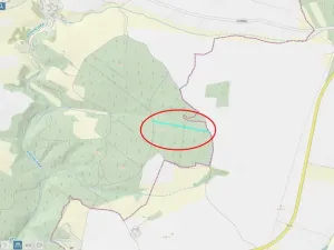 Prodej lesa, Jickovice, 32955 m2