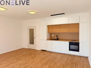 Pronájem bytu 1+kk, Plzeň, Železná, 39 m2