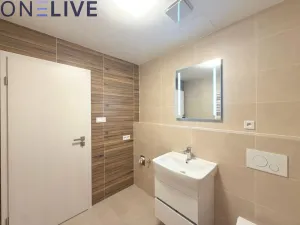 Pronájem bytu 1+kk, Plzeň, Železná, 39 m2