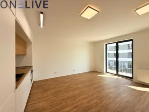 Pronájem bytu 1+kk, Plzeň, Železná, 39 m2