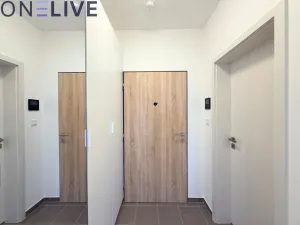 Pronájem bytu 1+kk, Plzeň, Železná, 39 m2