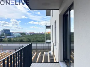 Pronájem bytu 1+kk, Plzeň, Železná, 39 m2