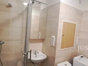 Pronájem bytu 1+1, Písek, 17. listopadu, 41 m2