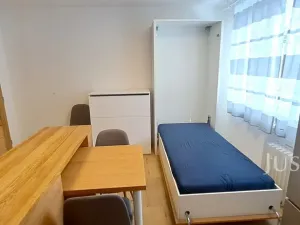 Pronájem bytu 1+1, Písek, 17. listopadu, 41 m2