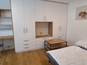 Pronájem bytu 1+1, Písek, 17. listopadu, 41 m2