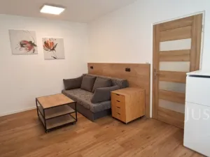 Pronájem bytu 1+1, Písek, 17. listopadu, 41 m2