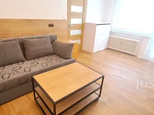 Pronájem bytu 1+1, Písek, 17. listopadu, 41 m2