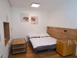 Pronájem bytu 1+1, Písek, 17. listopadu, 41 m2
