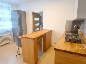 Pronájem bytu 1+1, Písek, 17. listopadu, 41 m2