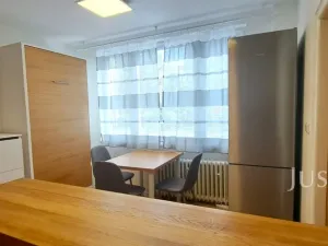 Pronájem bytu 1+1, Písek, 17. listopadu, 41 m2