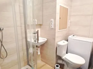 Pronájem bytu 1+1, Písek, 17. listopadu, 41 m2