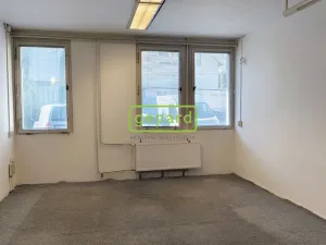 Pronájem skladu, Brno - Maloměřice, Selská, 50 m2