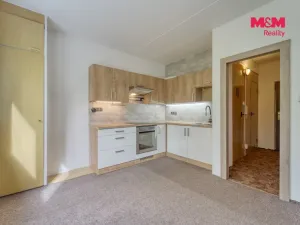 Pronájem bytu 1+1, Starý Plzenec, Dr. Beneše, 39 m2