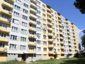 Pronájem bytu 1+kk, České Budějovice - České Budějovice 3, U Trojice, 21 m2