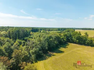 Prodej lesa, Pardubice - Pardubice-Staré Město, 37347 m2