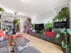 Prodej bytu 2+1, Brno, Renneská třída, 53 m2