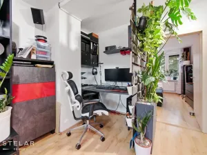 Prodej bytu 2+1, Brno, Renneská třída, 54 m2