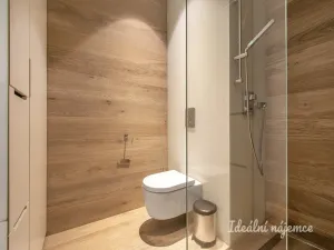 Pronájem bytu 2+kk, Praha - Nové Město, Charvátova, 54 m2